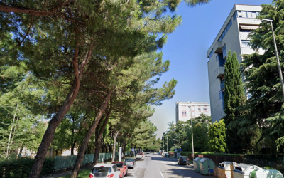 Retromarcia del Sindaco sugli alberi del Saval. Dopo la nostra raccolta firme non verranno abbattuti. Un grazie a tutti, ma il sit-in resta!