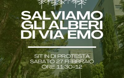 Iniziative contro il taglio dei pini di via Emo: già 500 firme in meno di 24 ore